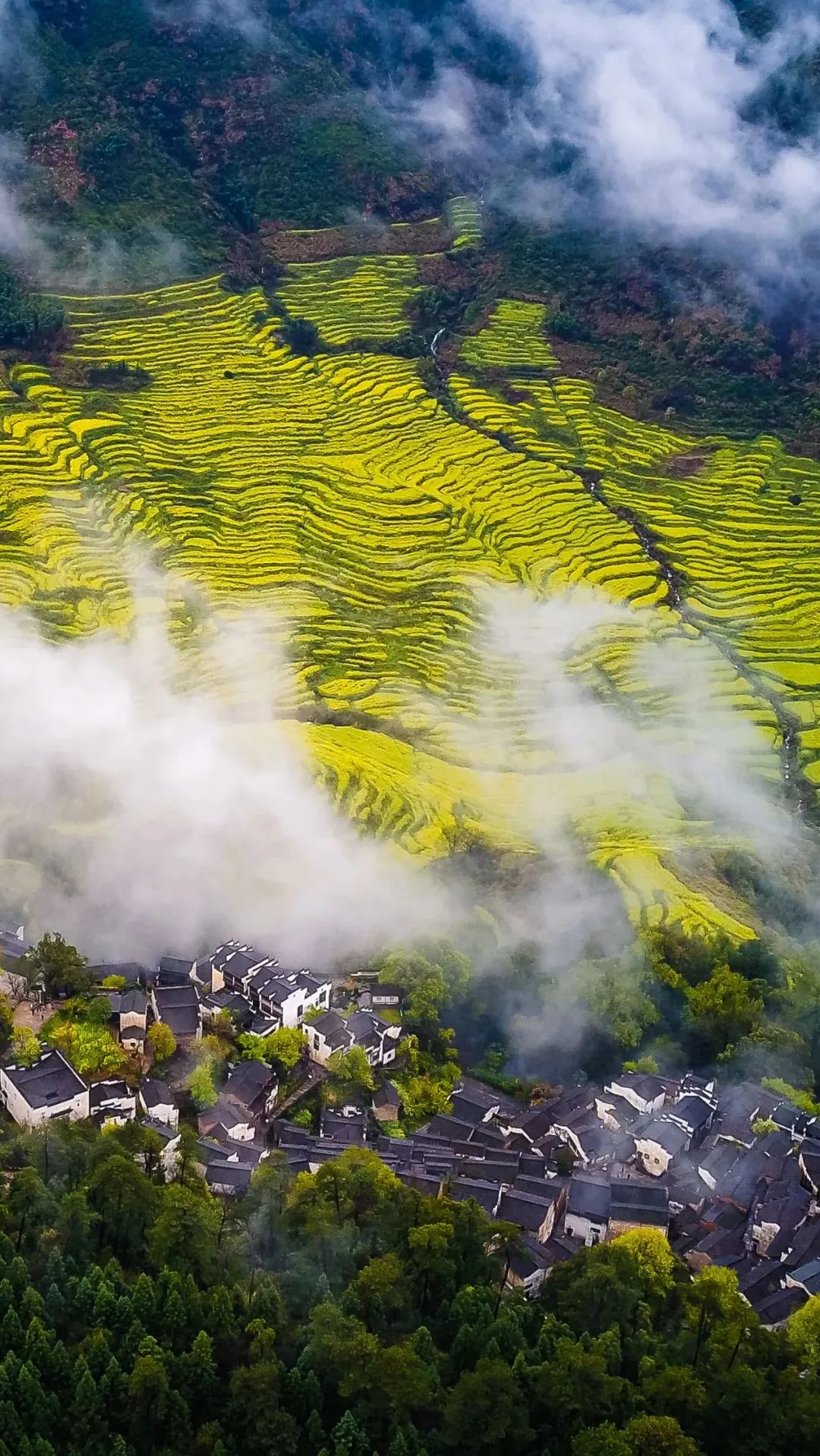 寻味江西,小巷深处赣味飘香