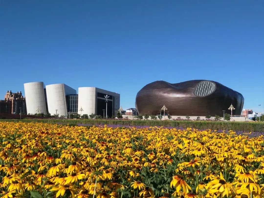 鄂尔多斯,家的温馨与友情的奇遇之旅